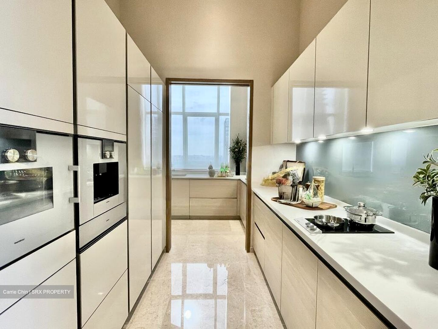 V On Shenton (D1), Apartment #477192081